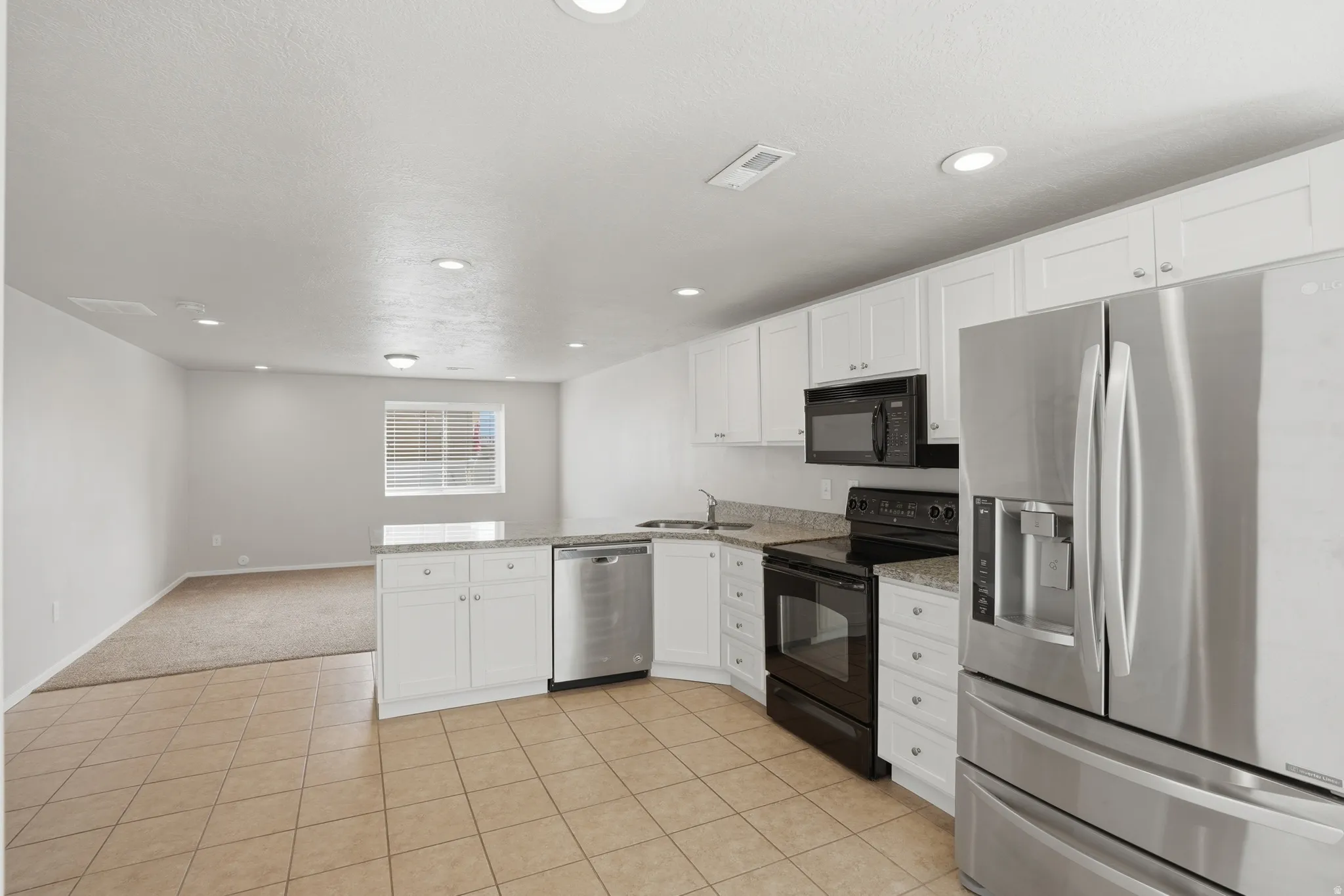 Basement full kitchen and living room