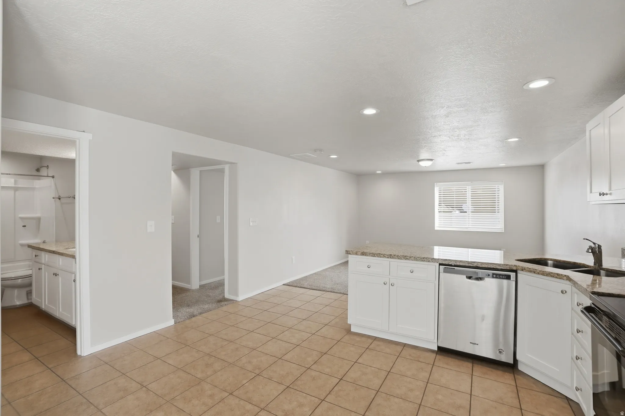 Basement full kitchen and living room