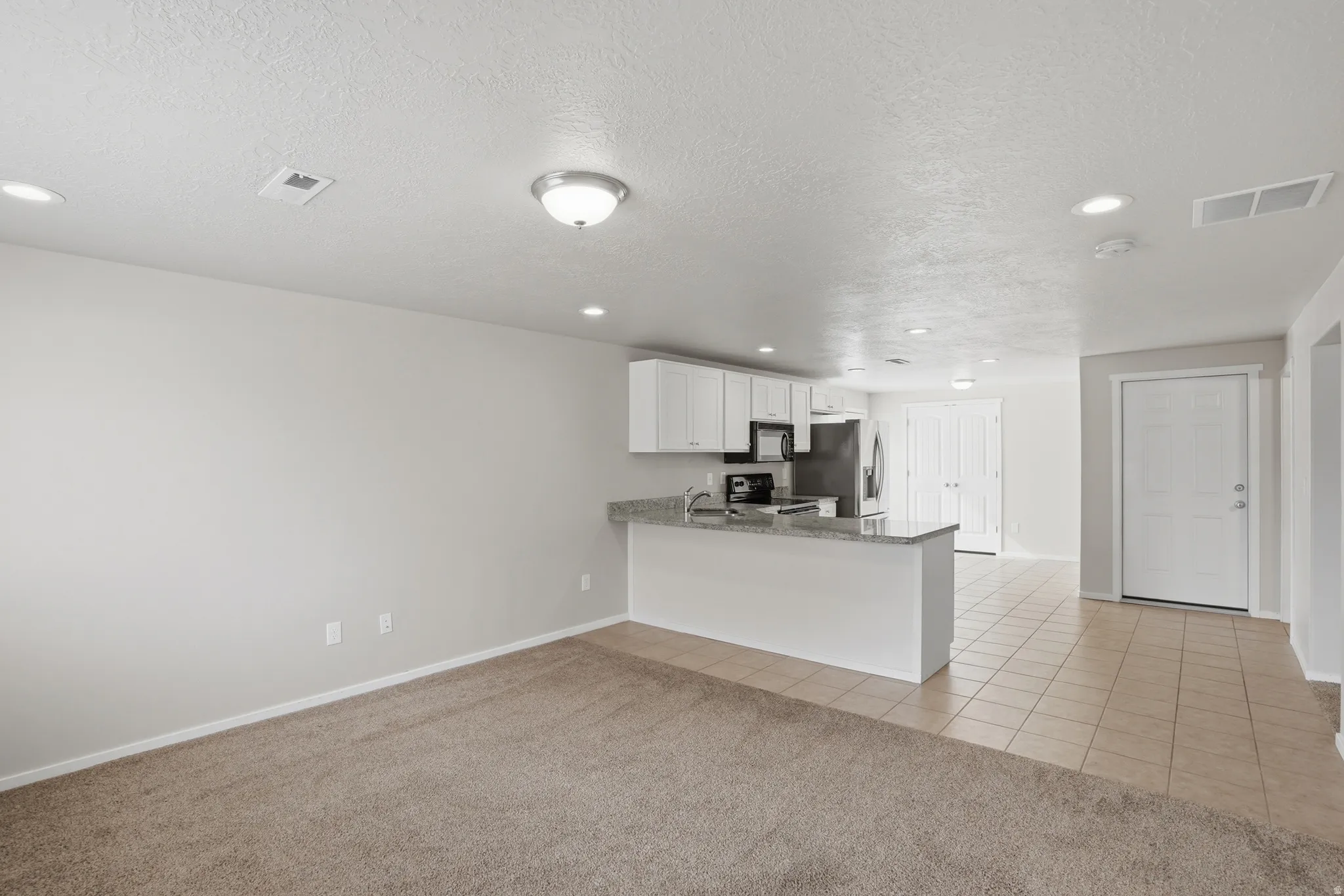 Basement full kitchen and living room