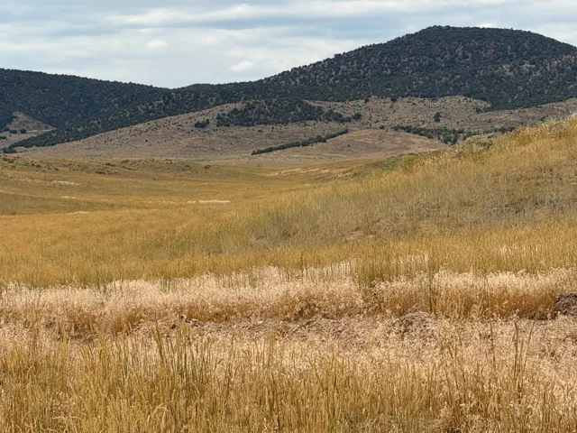 Expansive natural landscape featuring rolling hills and distant mountains