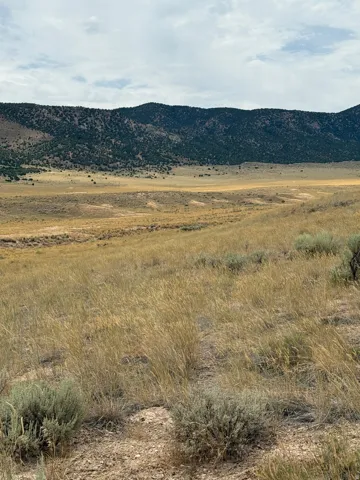 Expansive terrain with natural grasses and scattered low-lying shrubs
