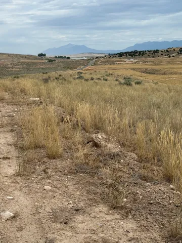 Expansive land featuring natural grasses, scattered scrub brush, a distant mountain range, and a visible roadway