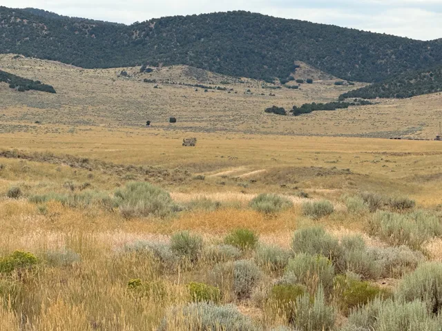 Unit 24, Levan, Utah 84639