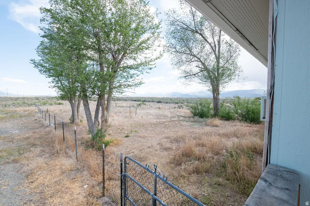 Expansive outdoor area featuring mature trees and a chain-link fence with a gate