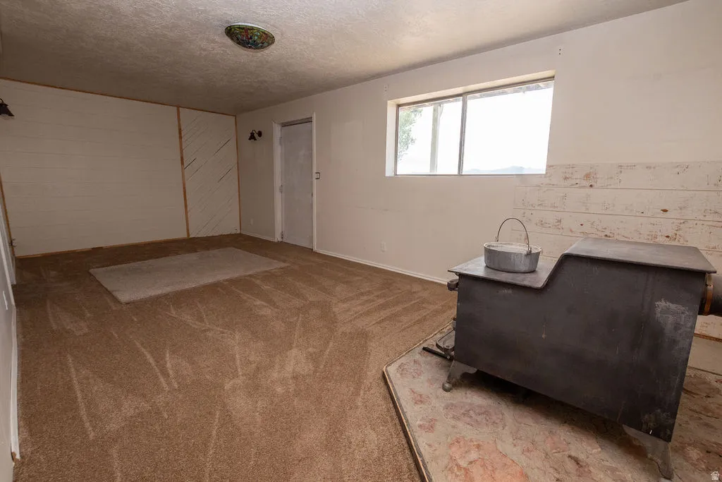 Spacious room featuring a wood-burning stove on a hearth, light brown carpeting, a window, wall-mounted sconce lighting, and a white paneled accent wall