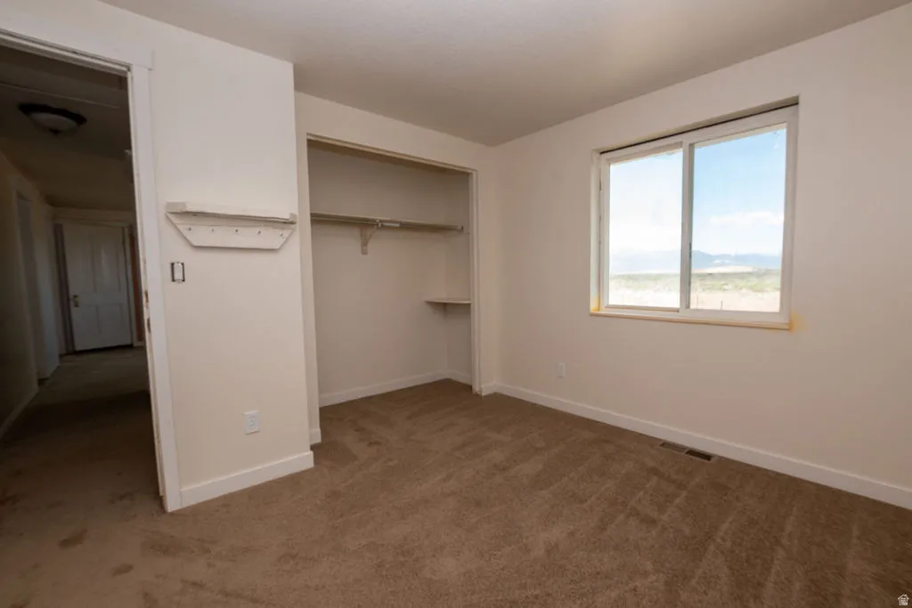 Carpeted interior space featuring a built-in closet with shelving, a window with a distant mountain backdrop, and a wall-mounted wooden rack