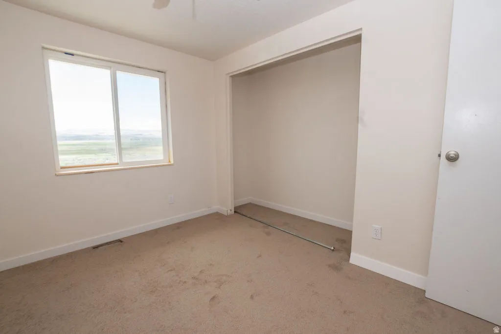 Carpeted room featuring a large window, open closet space, white baseboards, and a white interior door