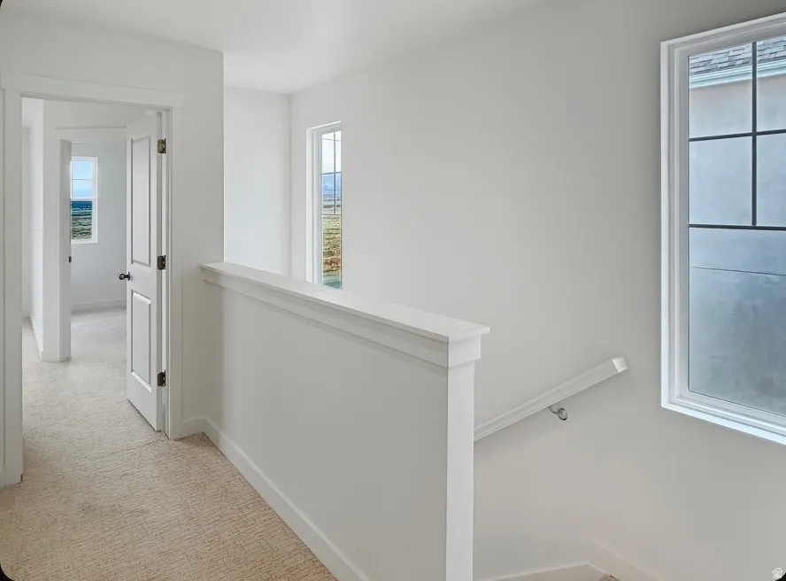 Upper-level landing featuring neutral carpeting, a white railing with a matching handrail, and two windows