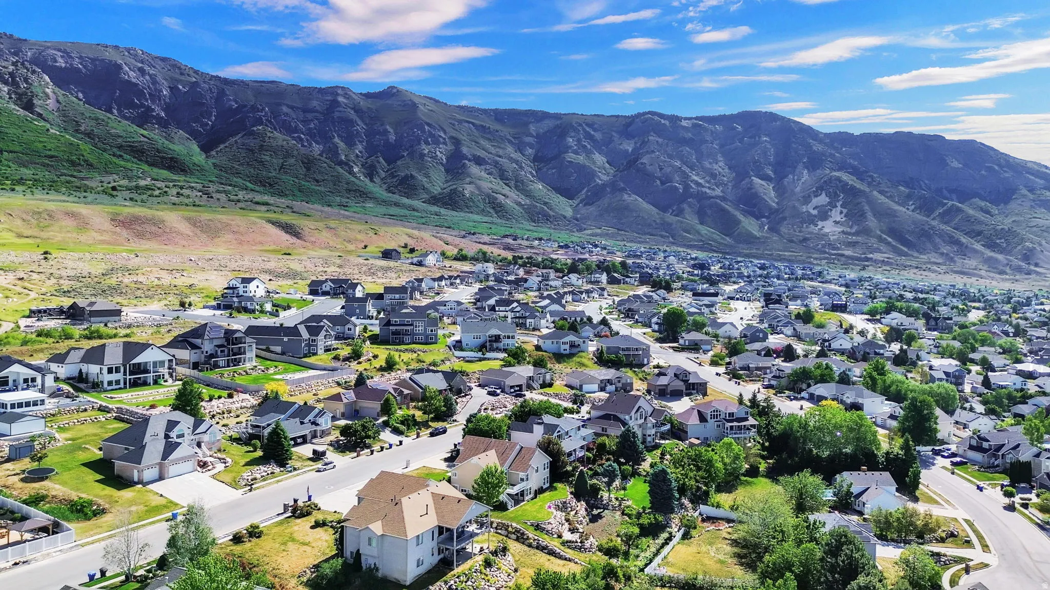 Residential community featuring varied architectural styles and mature landscaping