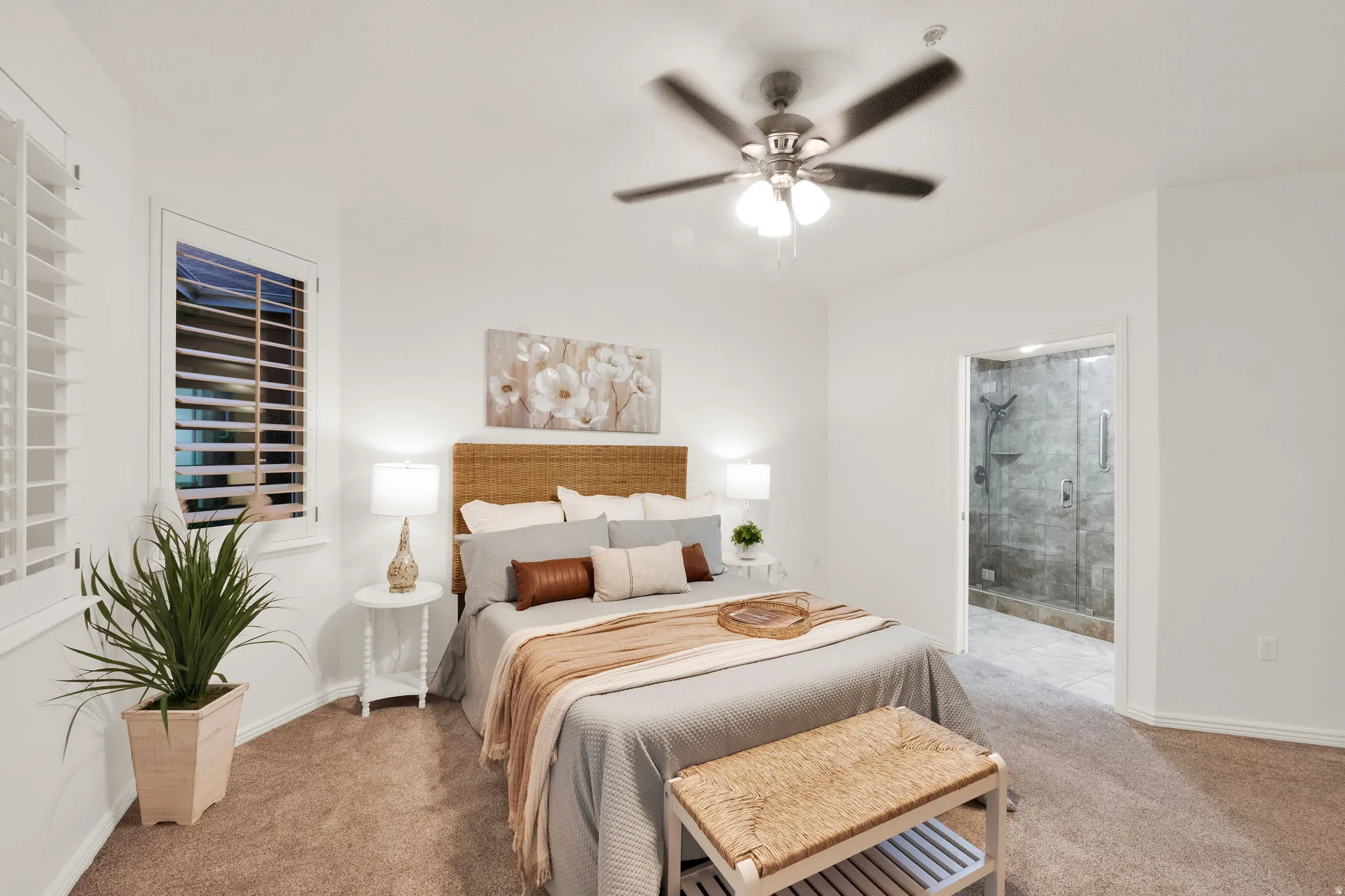 Carpeted room featuring a ceiling fan with integrated lighting, two windows with white plantation shutters, and a doorway revealing a bathroom with a glass-enclosed shower and tiled walls