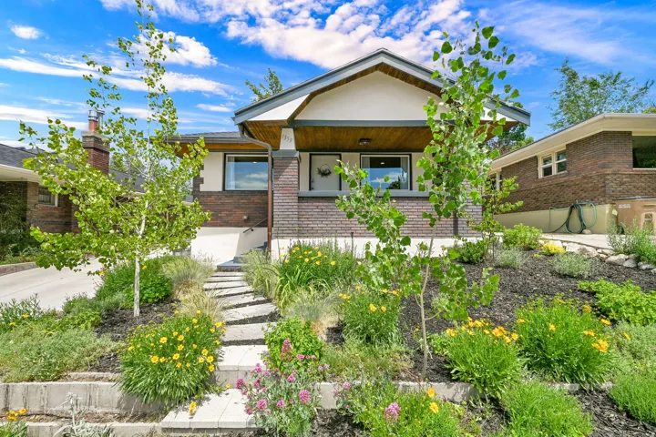 1359 Thornton
