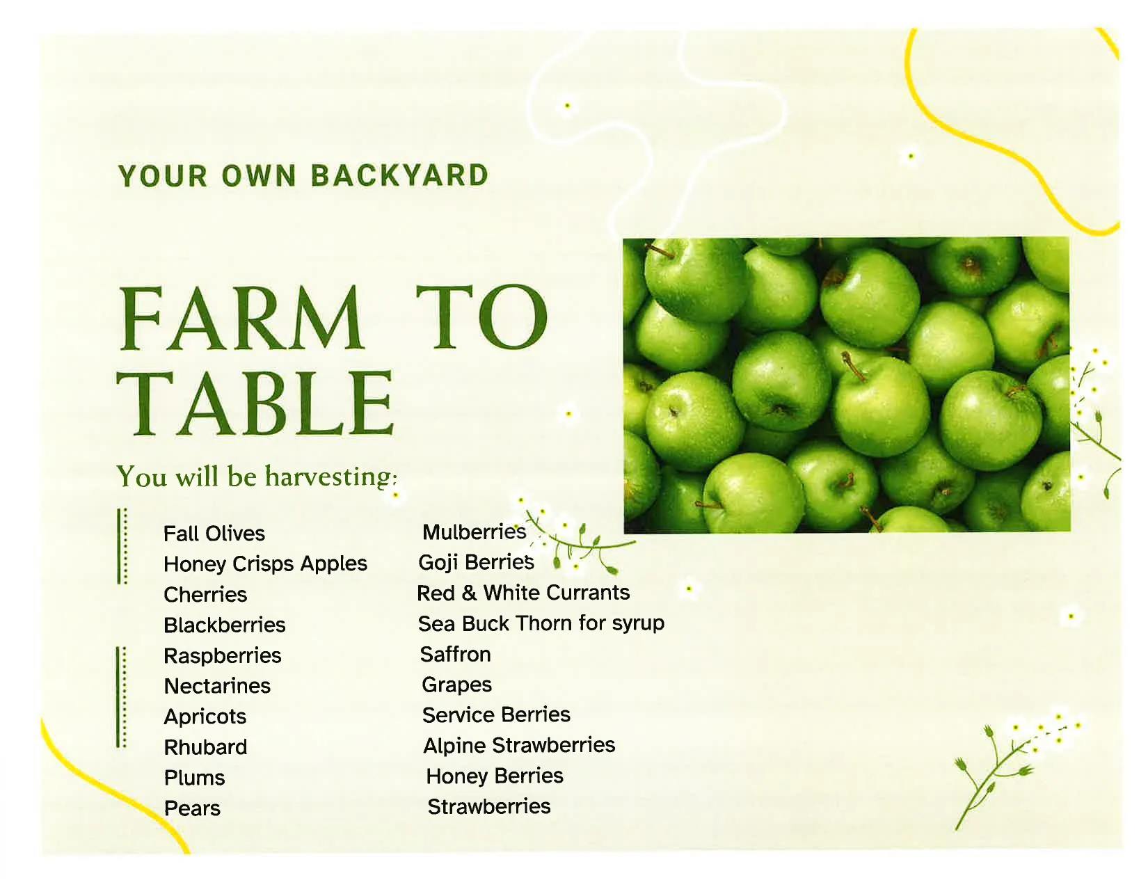 Property Amenity Listing. Outlining the agricultural produce available on the property
