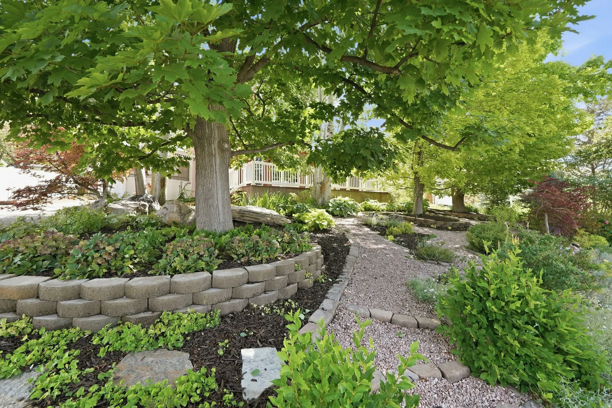 Landscaped front yard featuring mature trees and a gravel pathway