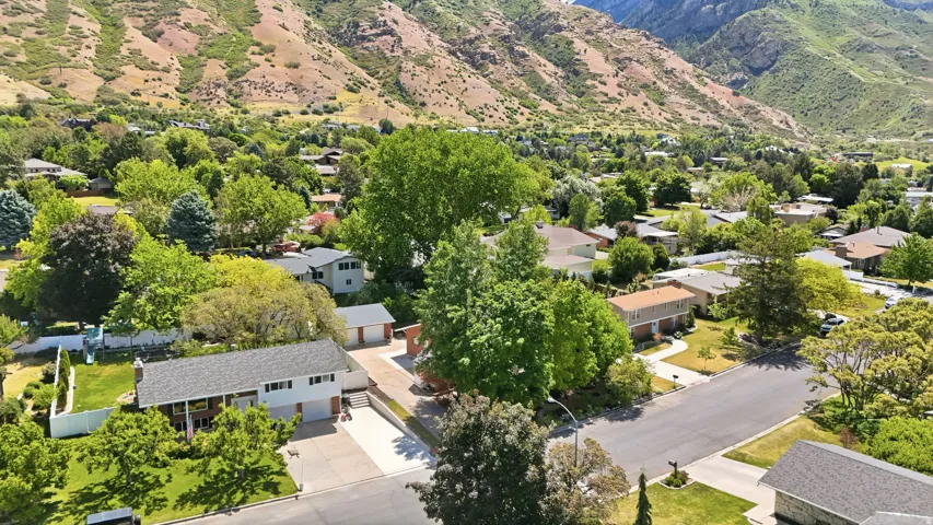 Residential neighborhood featuring established homes and abundant mature trees