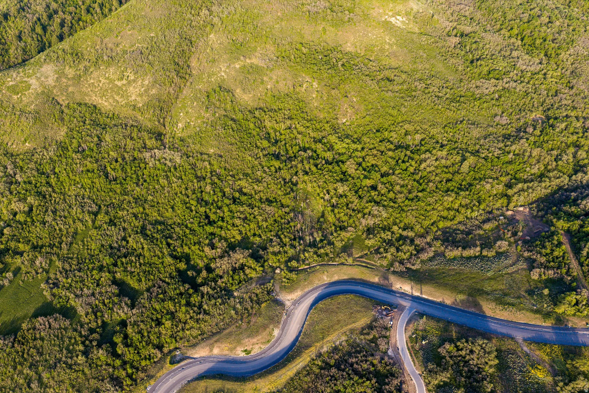 Winding asphalt roads traversing verdant, undulating terrain with dense tree cover