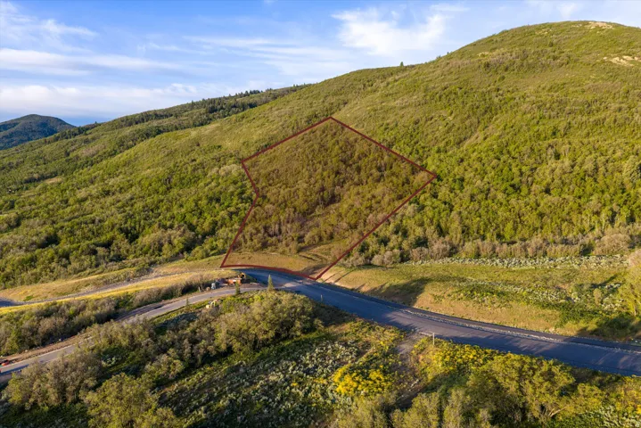 Mountain property featuring a sloped lot, established trees, and paved road frontage