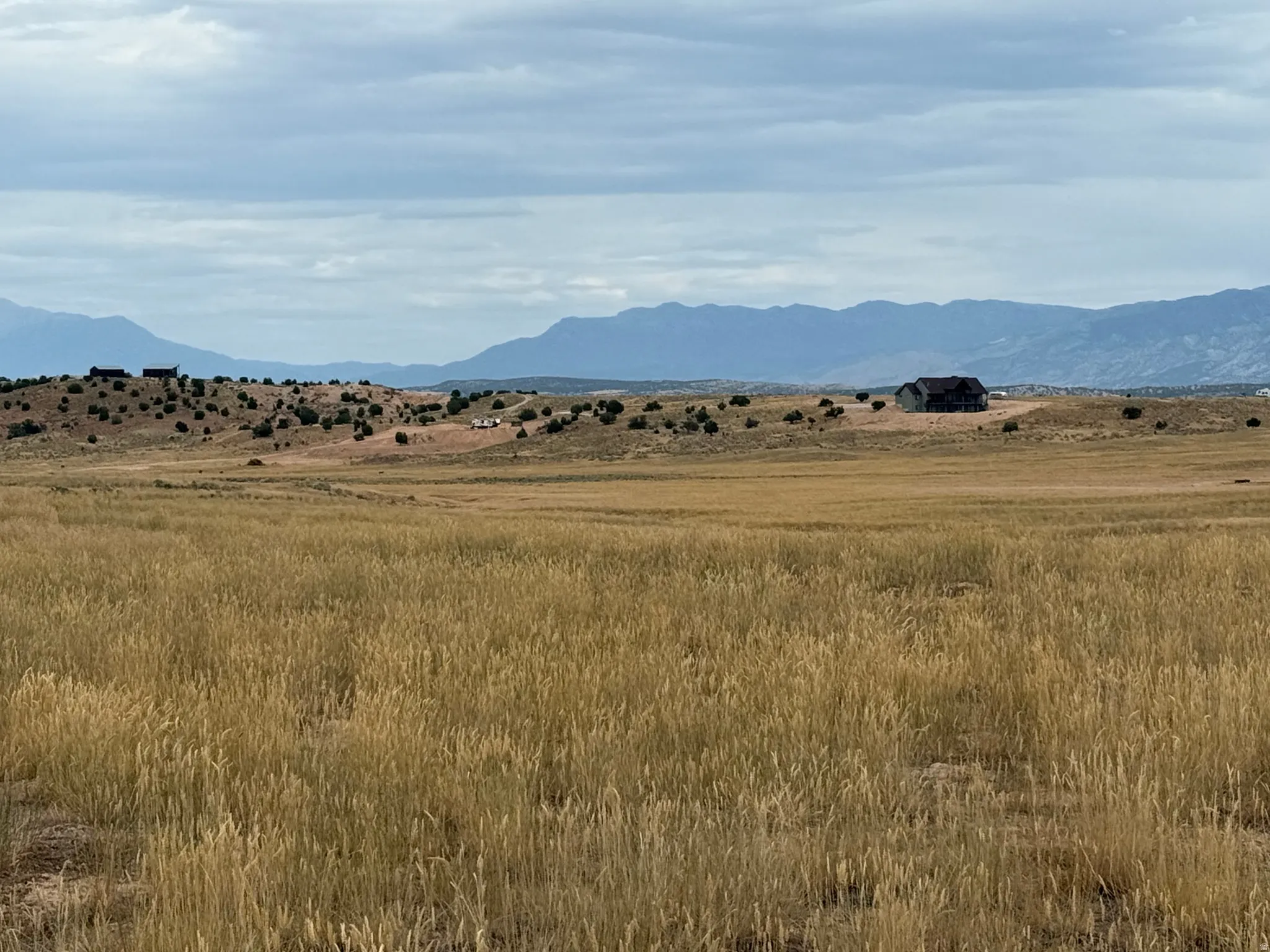 Expansive open terrain featuring natural golden grasses and distant mountain ranges