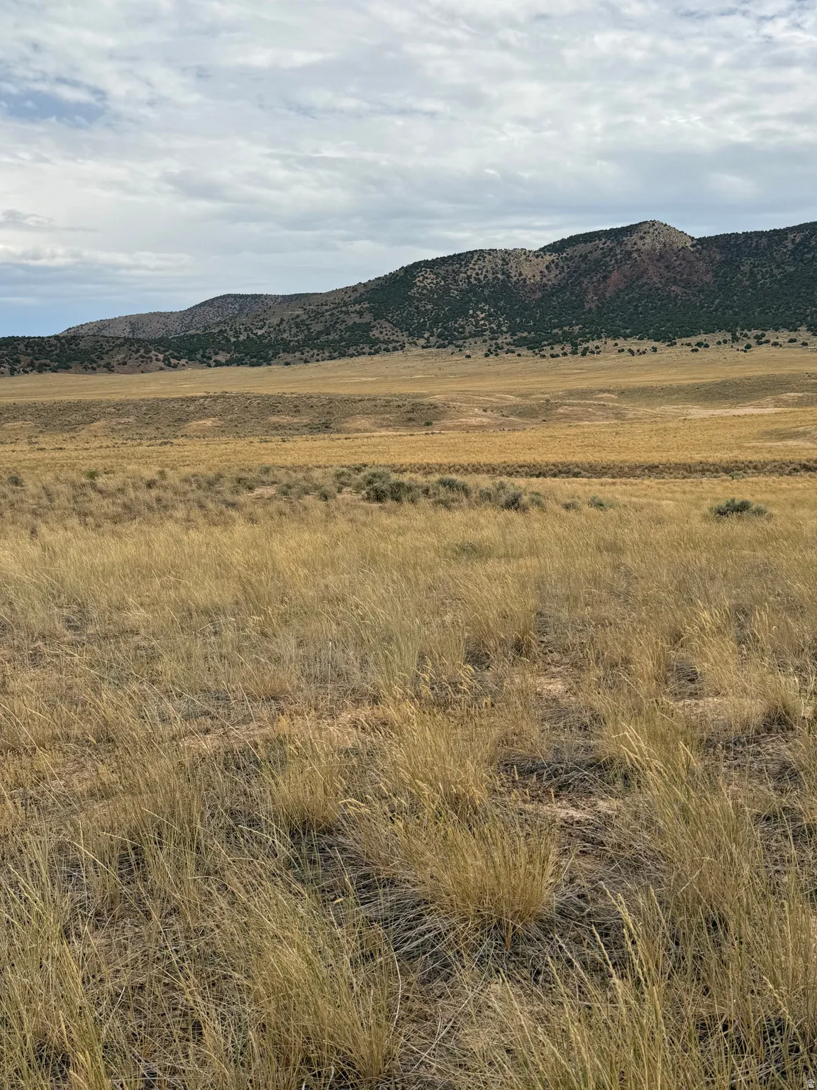 Expansive land parcel featuring natural grasses and distant mountain formations under a cloudy sky