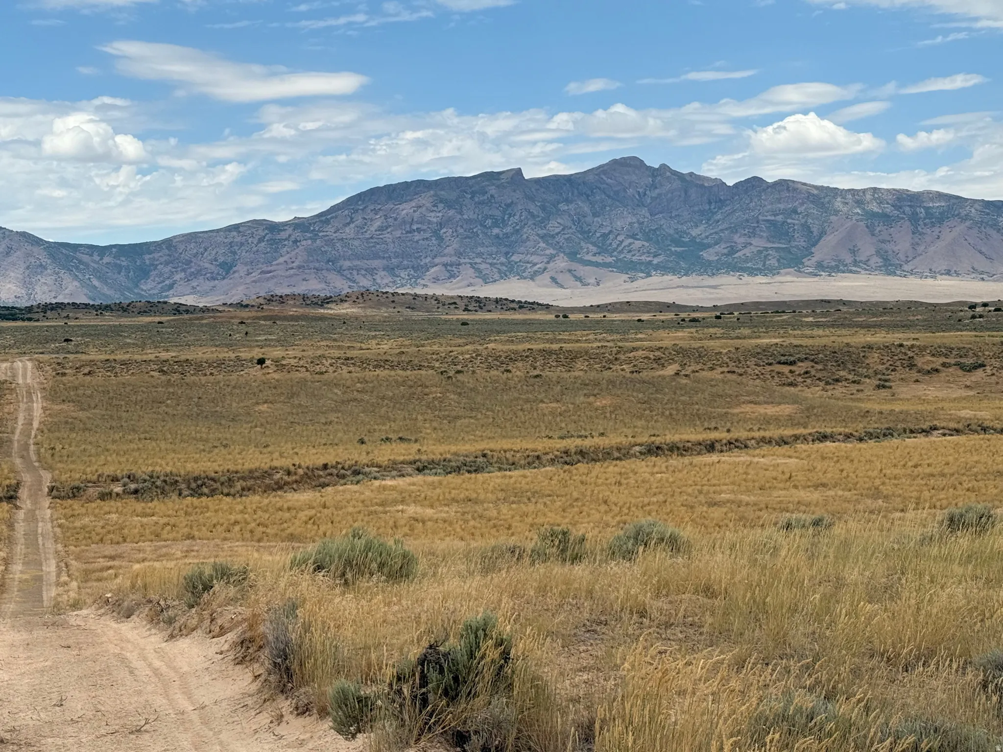 Expansive undeveloped land featuring a natural terrain and distant mountains