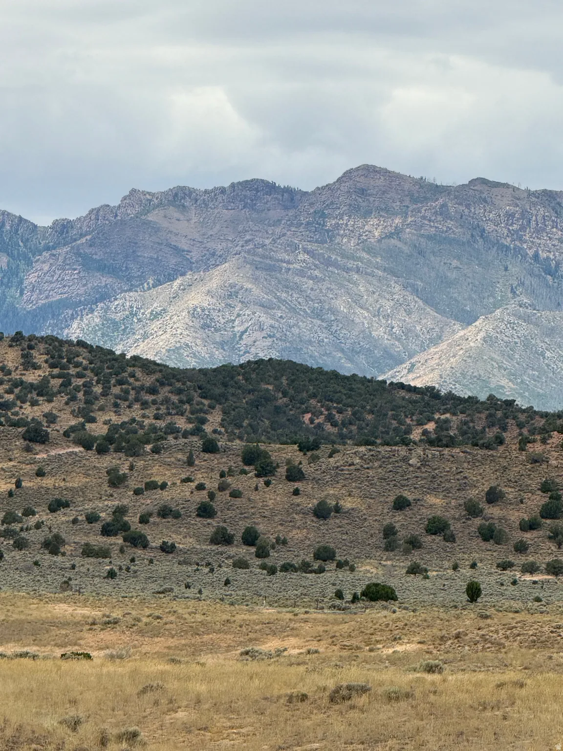 Expansive natural landscape featuring rolling hills and distant mountainous terrain