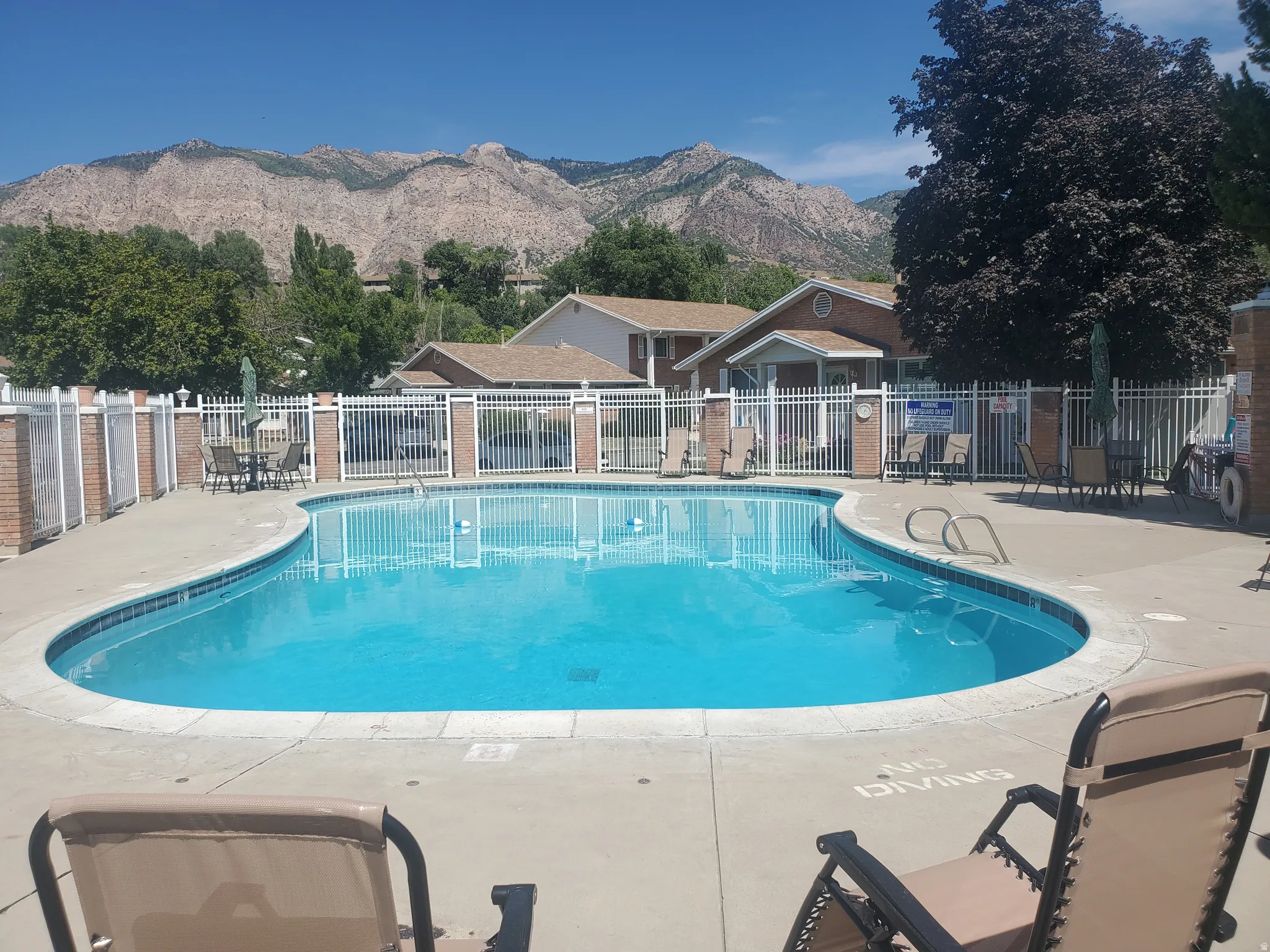 Curved swimming pool with surrounding concrete decking