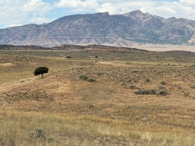 Expansive undeveloped land featuring varied terrain, natural vegetation, and distant mountain ranges