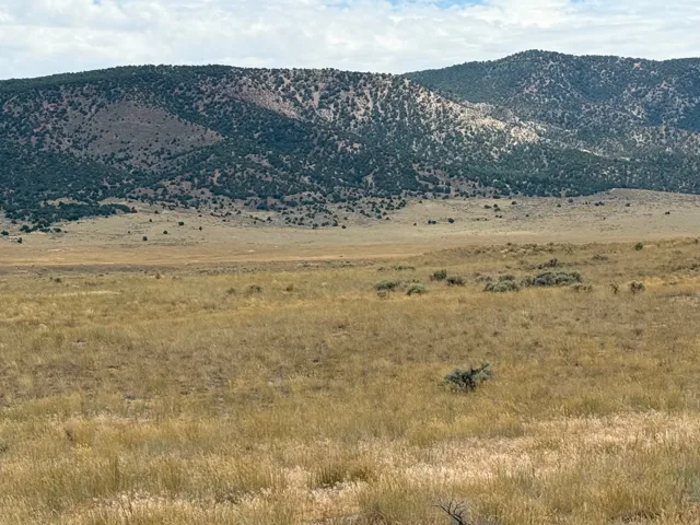 Expansive open terrain featuring natural grasses and scattered low-lying shrubs