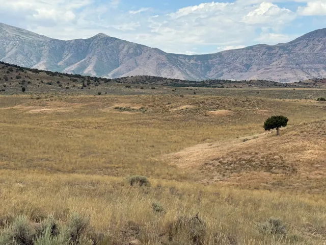 Expansive natural landscape featuring rolling terrain and distant mountains under a cloudy sky
