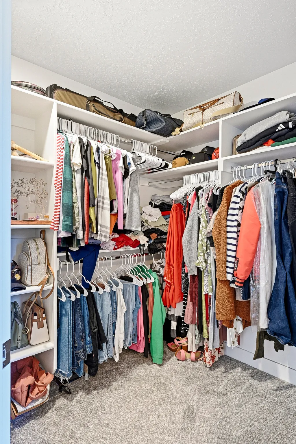 U-shaped closet system featuring white shelving and chrome hanging rods, light gray carpeting, and white textured ceiling