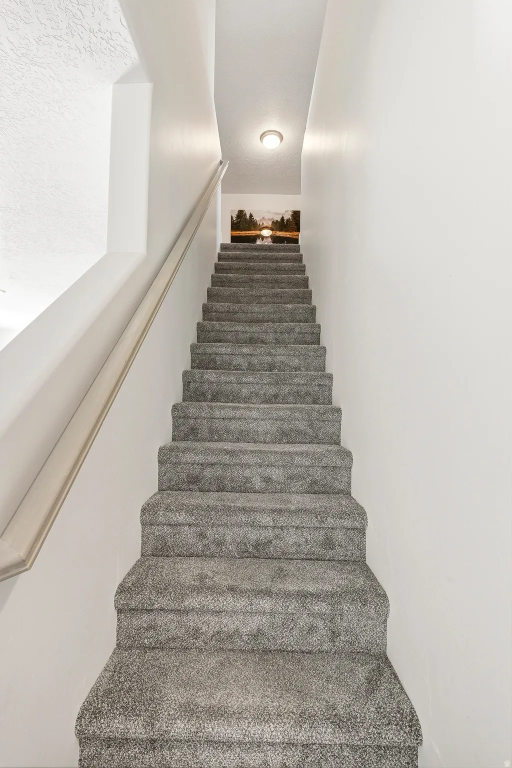 Carpeted staircase featuring a light gray handrail