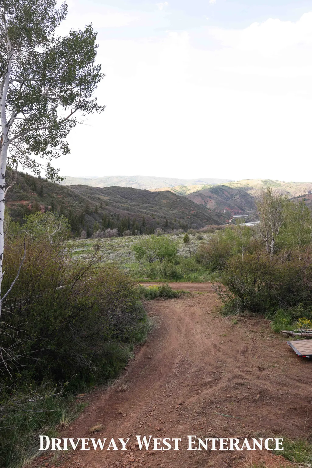 Unpaved driveway entrance surrounded by mature trees and shrubs, opening to a distant valley with rolling hills