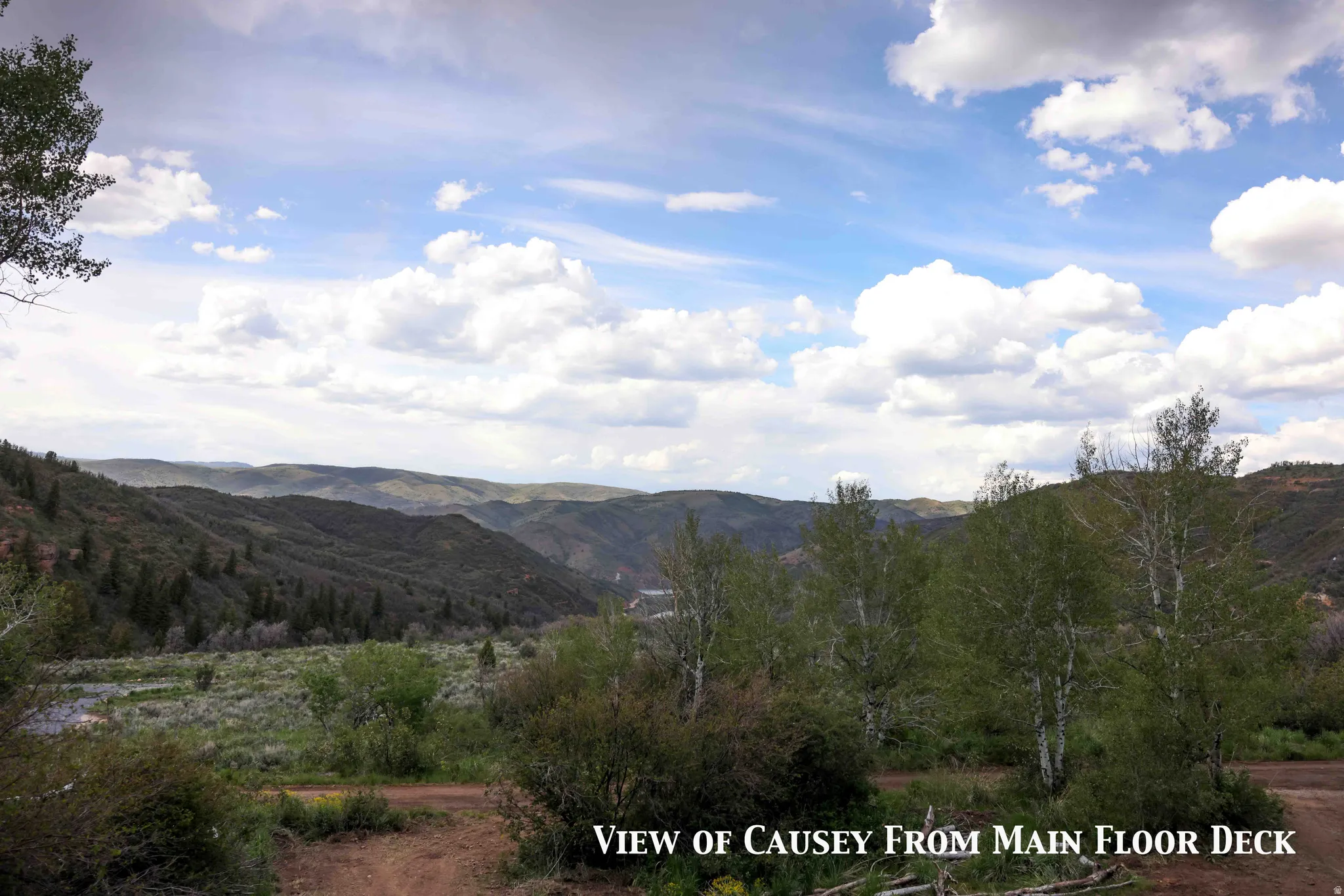 Expansive mountain landscape featuring rolling hills, mature trees, and a distant body of water under a partly cloudy sky