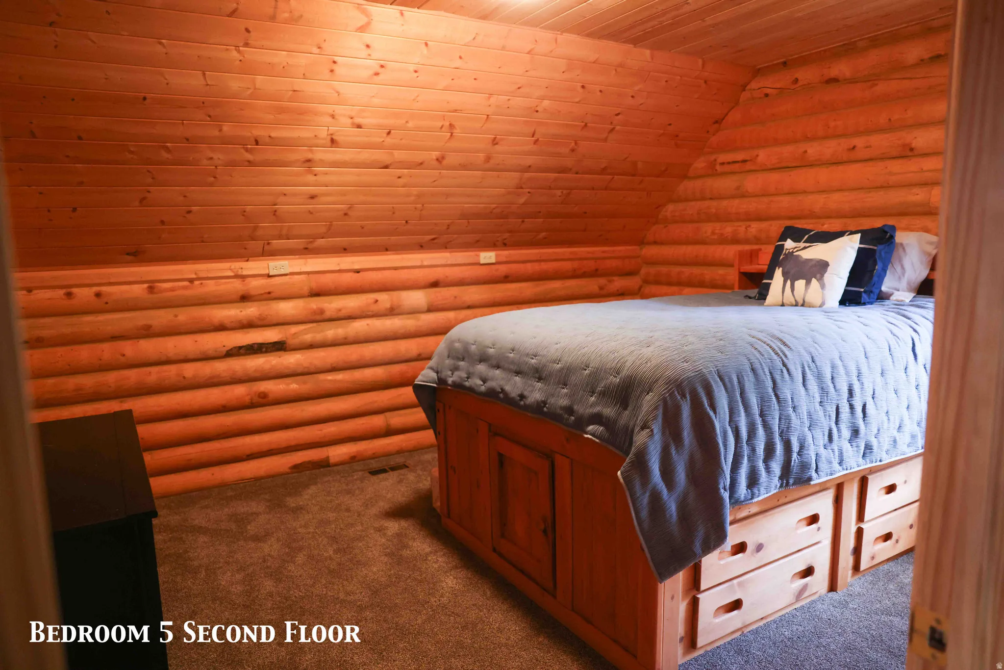 Interior space featuring wood-paneled walls and ceiling, wall-to-wall carpeting, and a built-in bed frame with integrated drawers