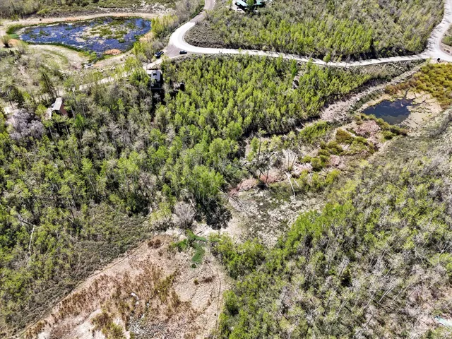 Spring time. Expansive wooded terrain with varied tree coverage