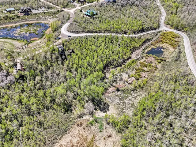 Spring time. Aerial perspective showcasing extensive tree coverage with a winding road, two distinct ponds, and distant structures nestled within the landscape