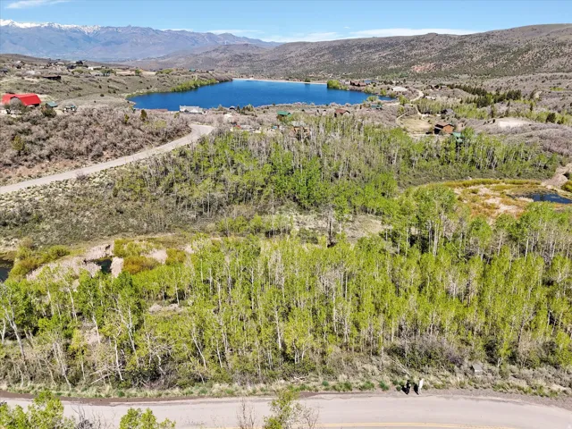 Spring time. Expansive property surrounded by mature deciduous trees and natural vegetation