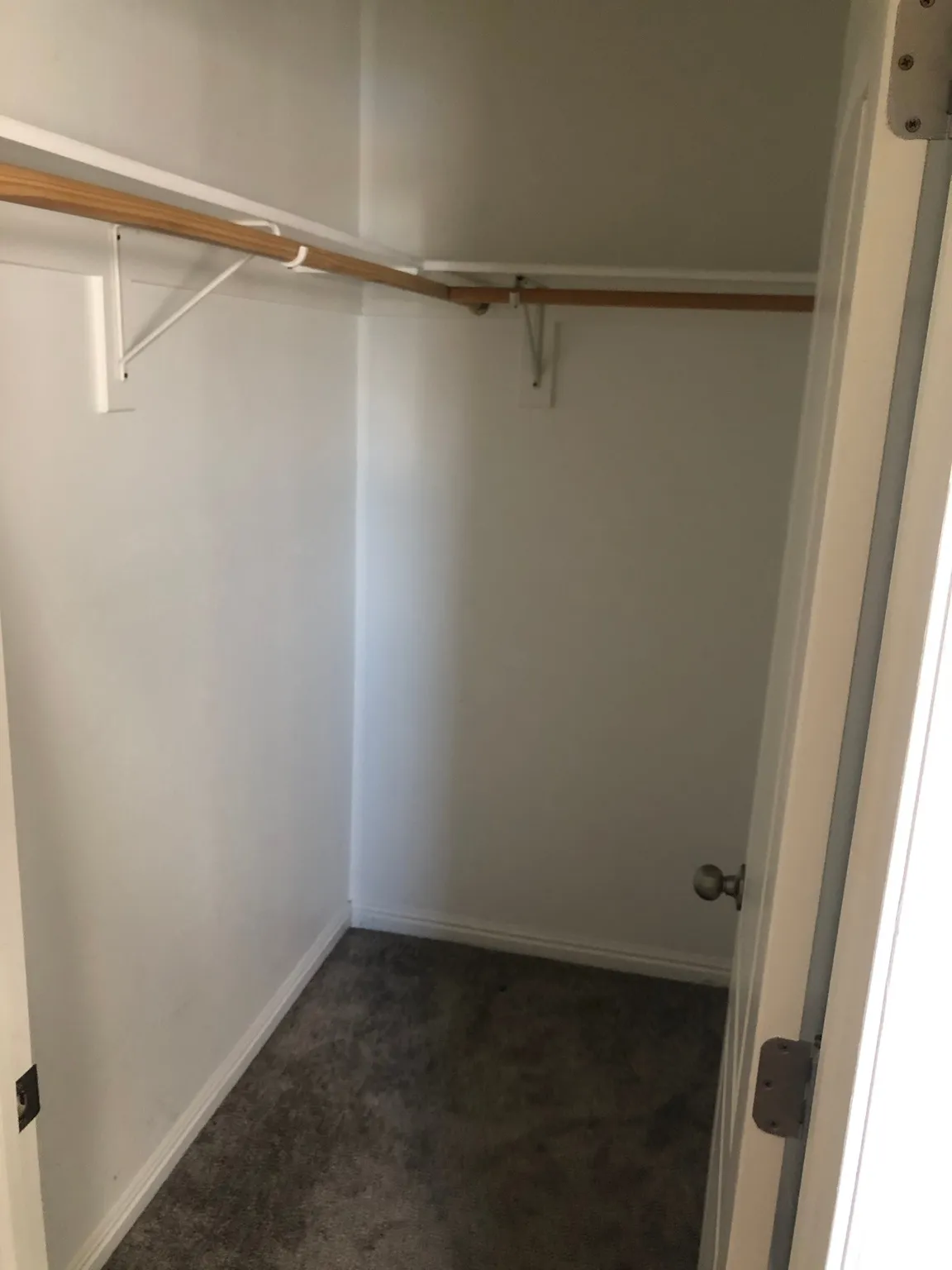 Master closet featuring white walls, baseboards, and carpeting