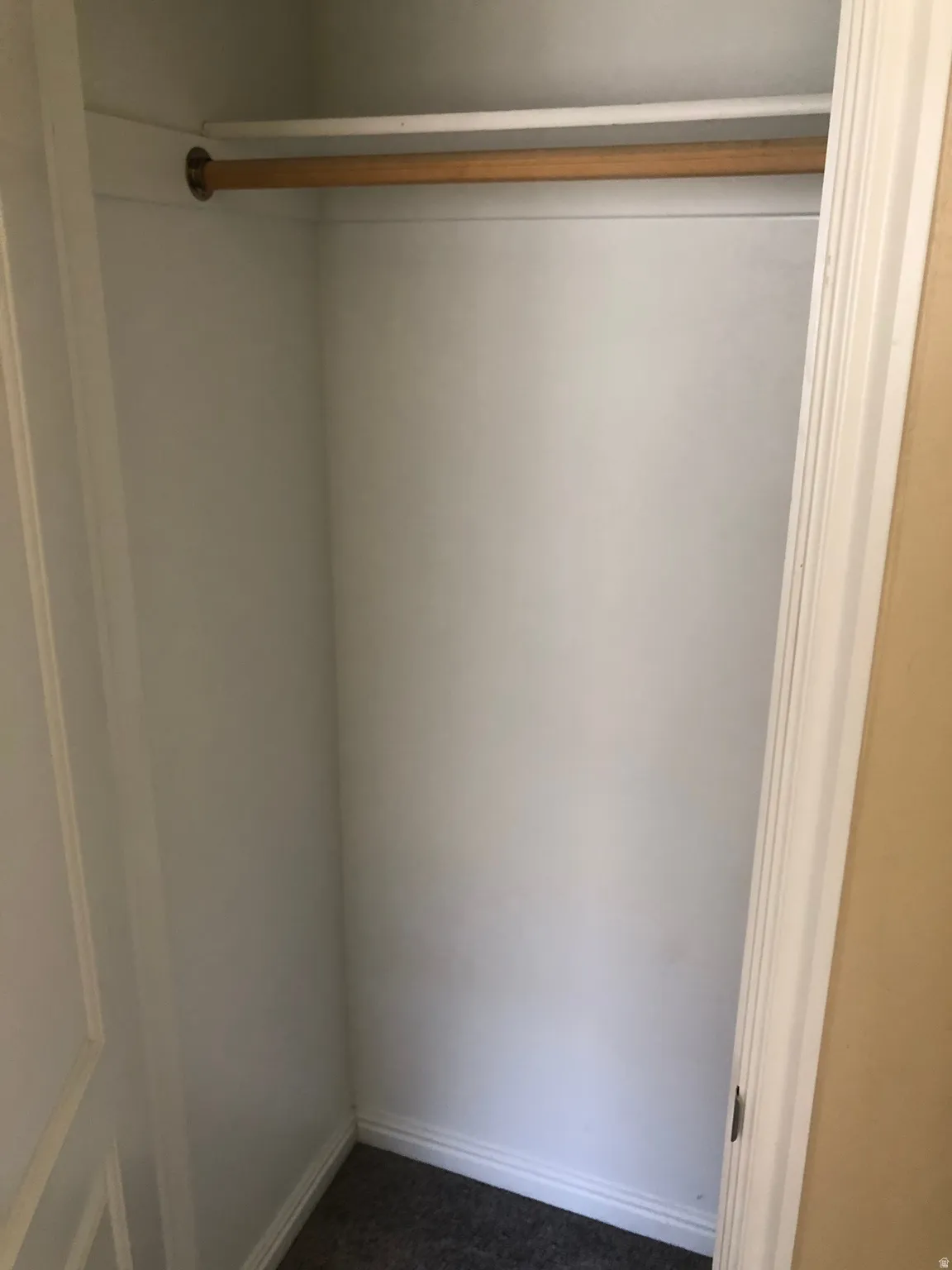 Closet space featuring a wooden hanging rod, white shelving, and carpet flooring
