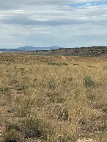 Expansive undeveloped land featuring natural grasses and distant rolling hills