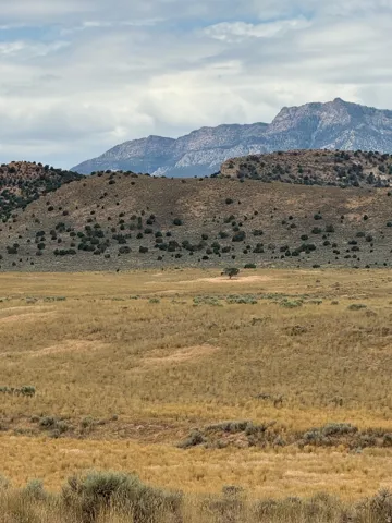 Expansive open terrain featuring natural grasses and distant mountain formations