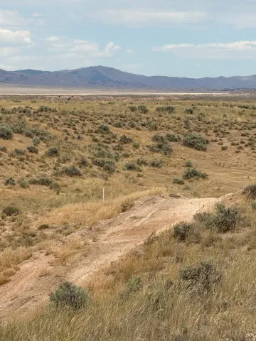 Expansive undeveloped land featuring natural desert vegetation and a dirt path