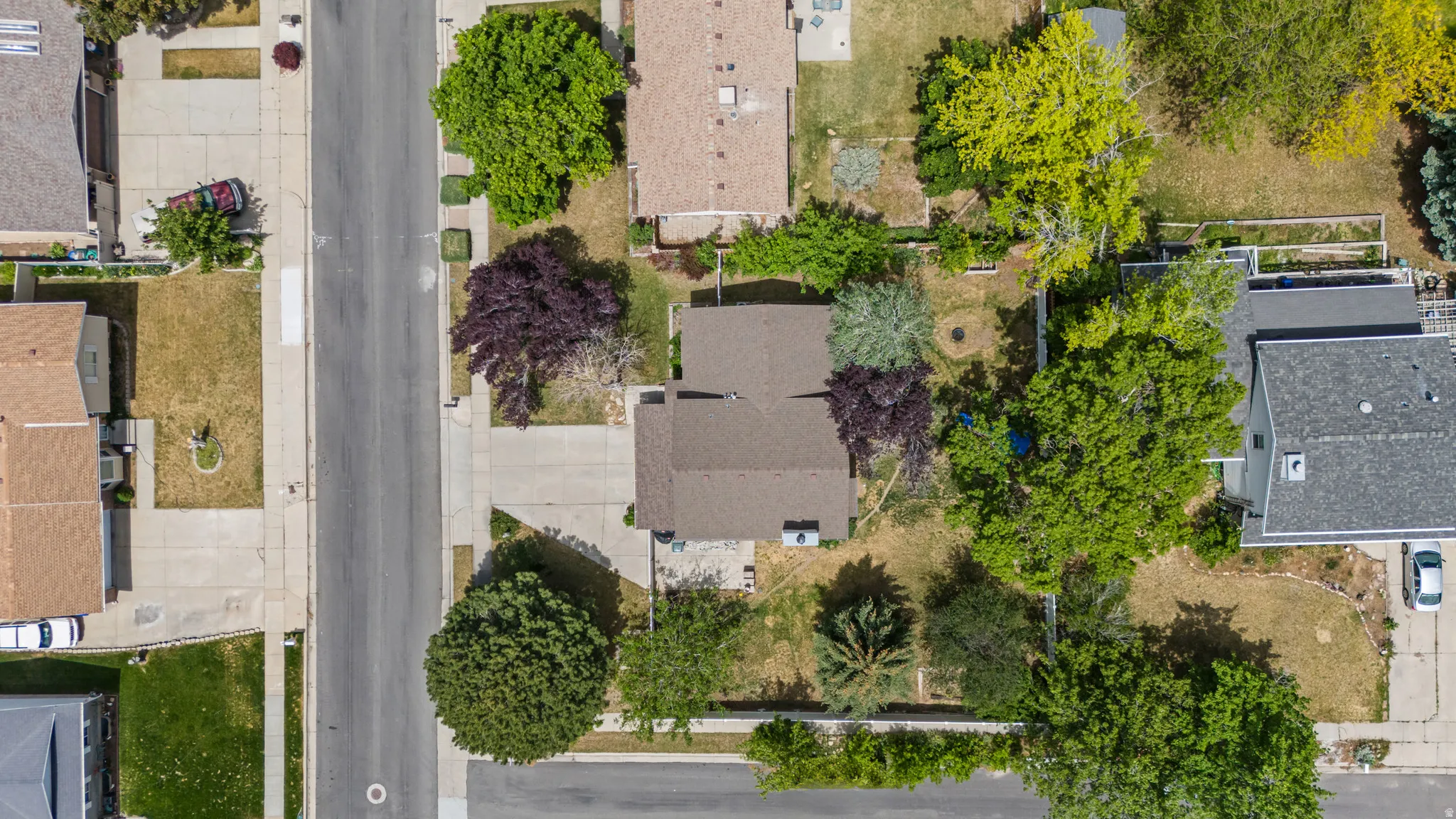 Property featuring an expansive lot with mature trees and a paved driveway