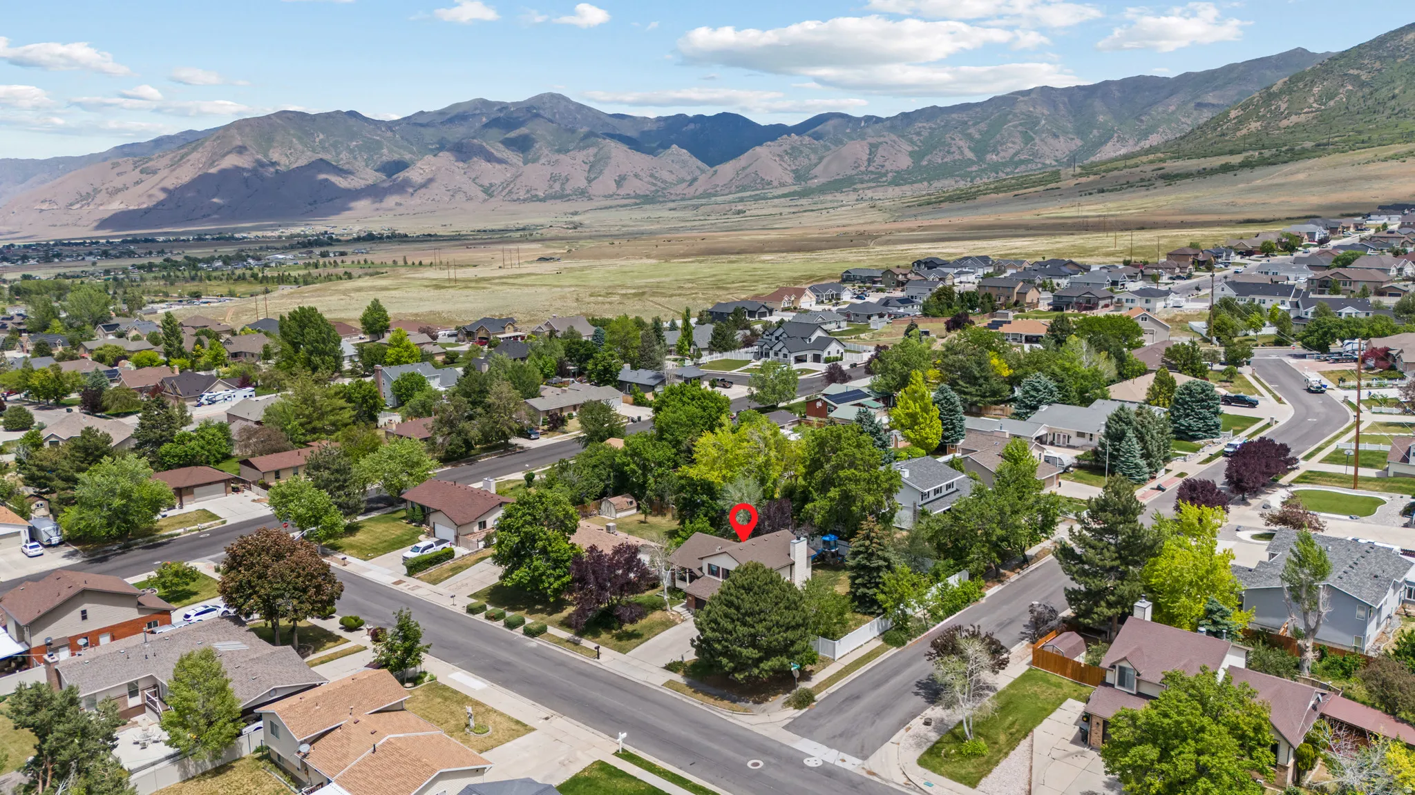 Residential neighborhood with mature trees, established properties, and mountain backdrop