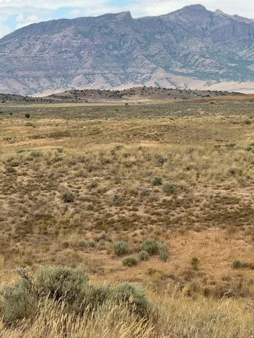 Expansive open terrain featuring natural vegetation, distant mountains, and a clear sky