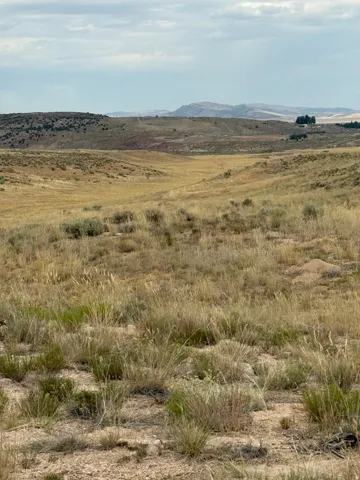 Rural landscape featuring rolling hills and sparse vegetation under a cloudy sky