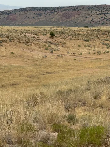 Expansive terrain featuring natural grasses and sparse shrubbery with distant rolling hills