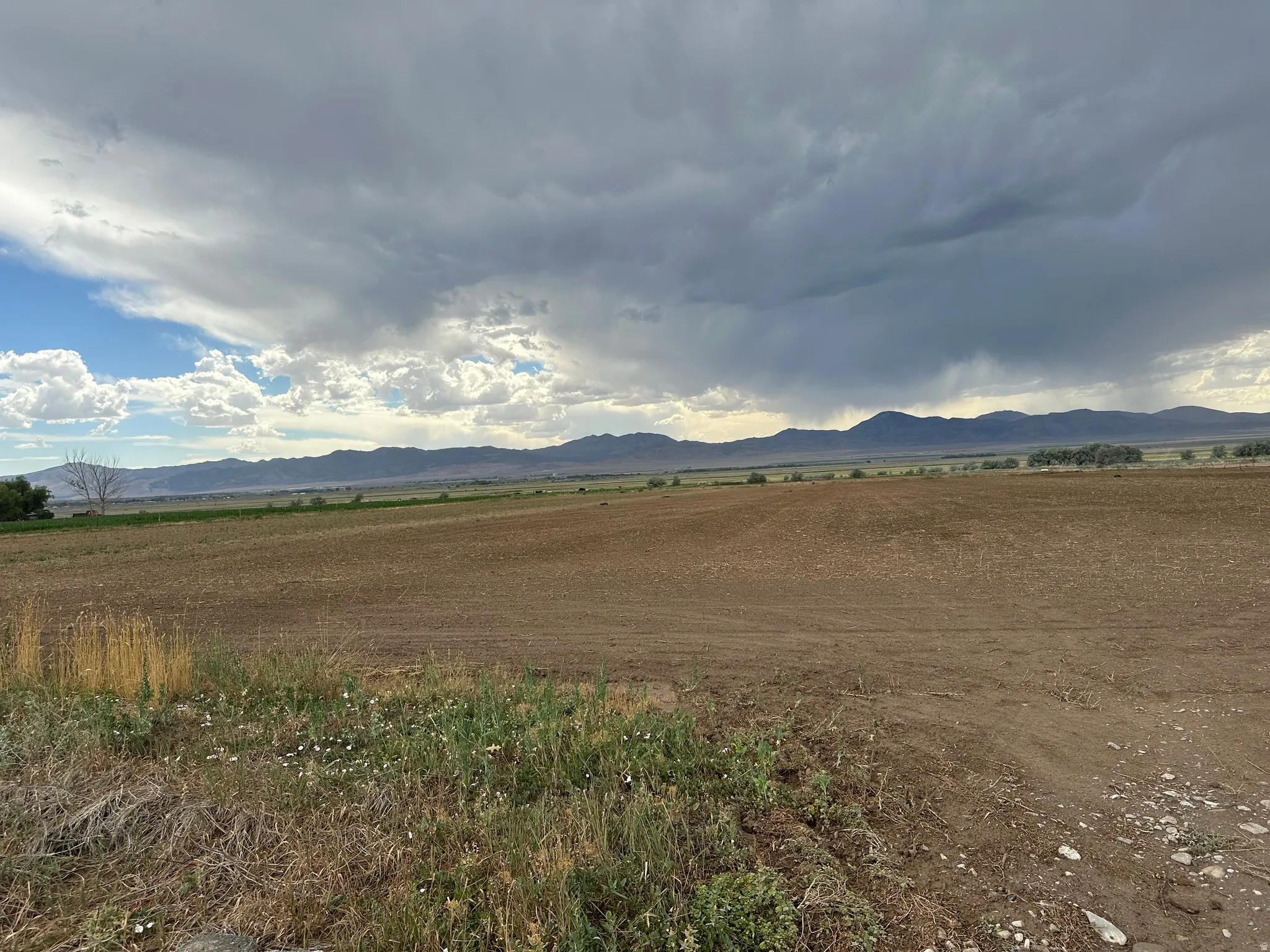 Expansive tilled agricultural land with distant mountain ranges and open sky