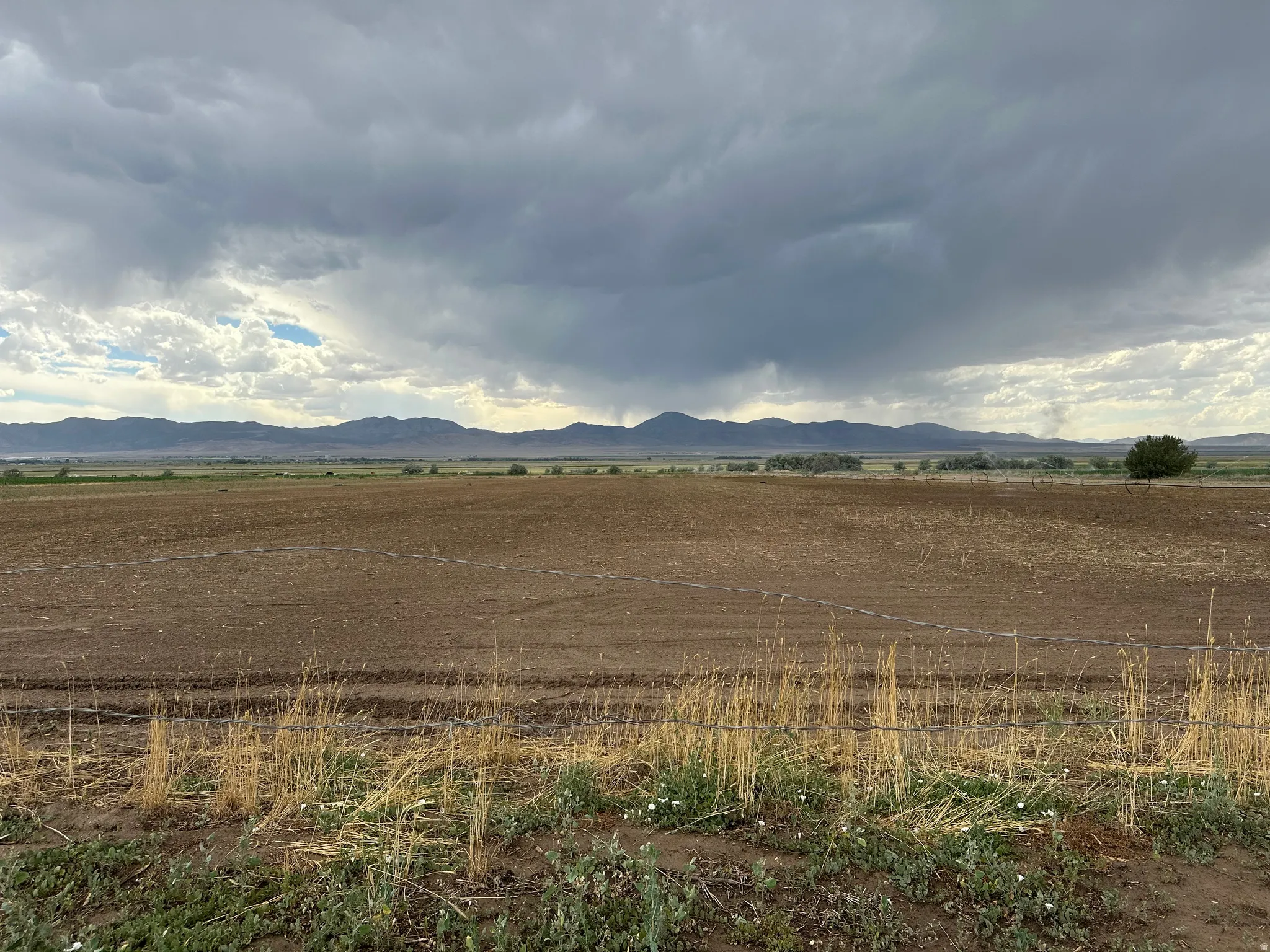 Expansive tilled agricultural land with distant mountain ranges