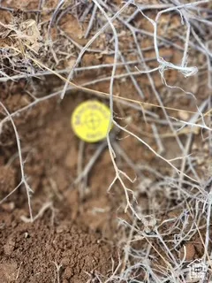 Boundary Marker
