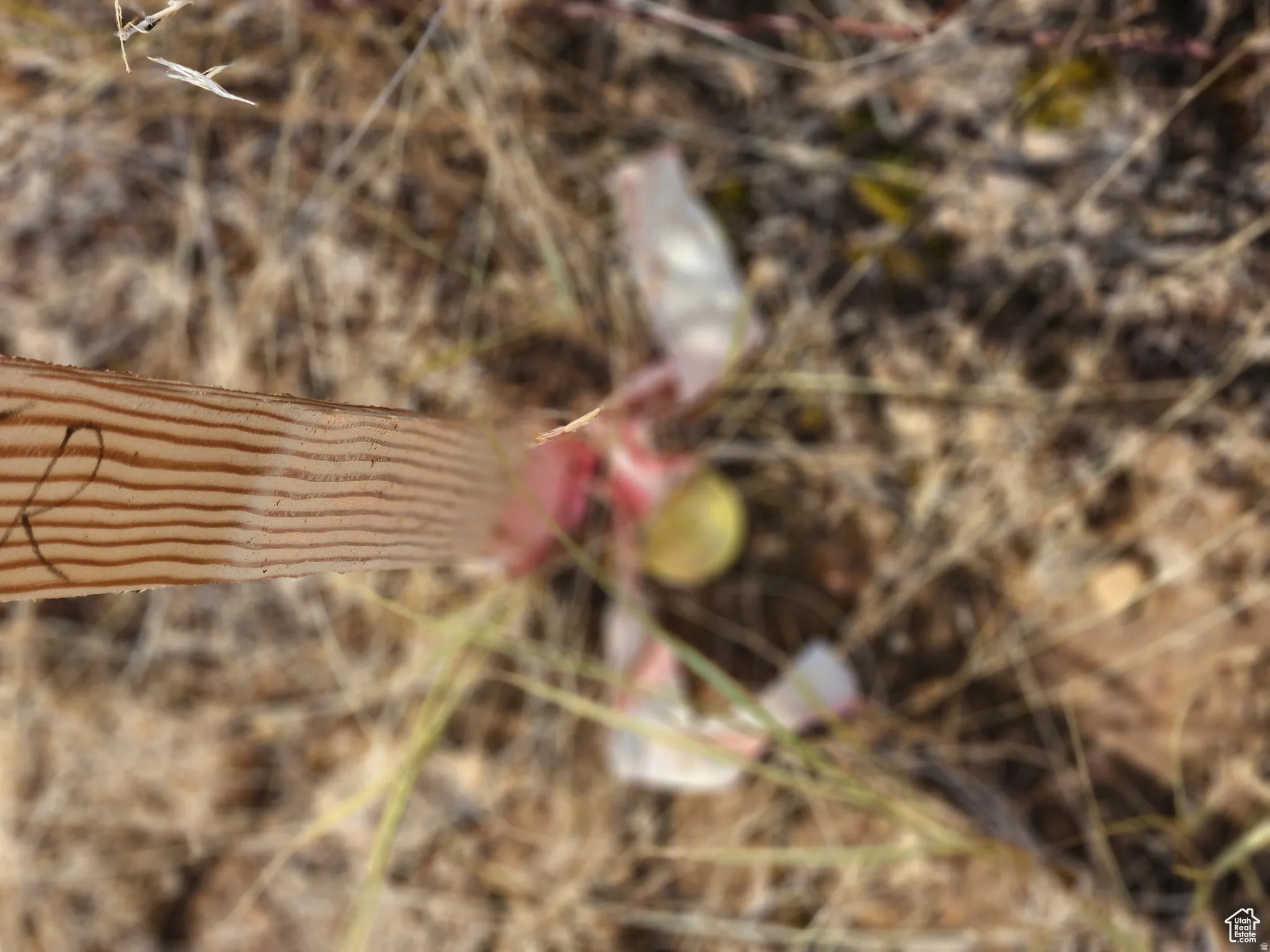 Boundary Marker